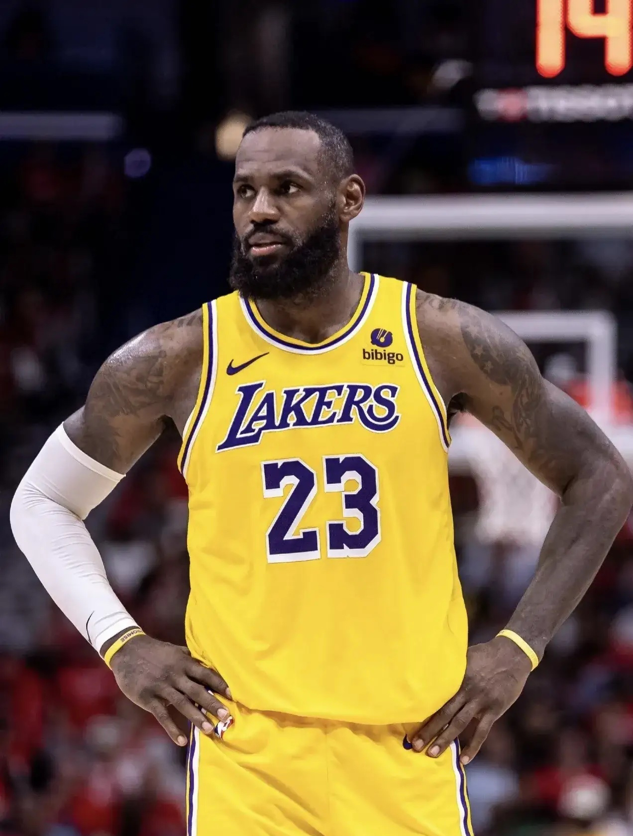 湖人和开拓者今天录相回放